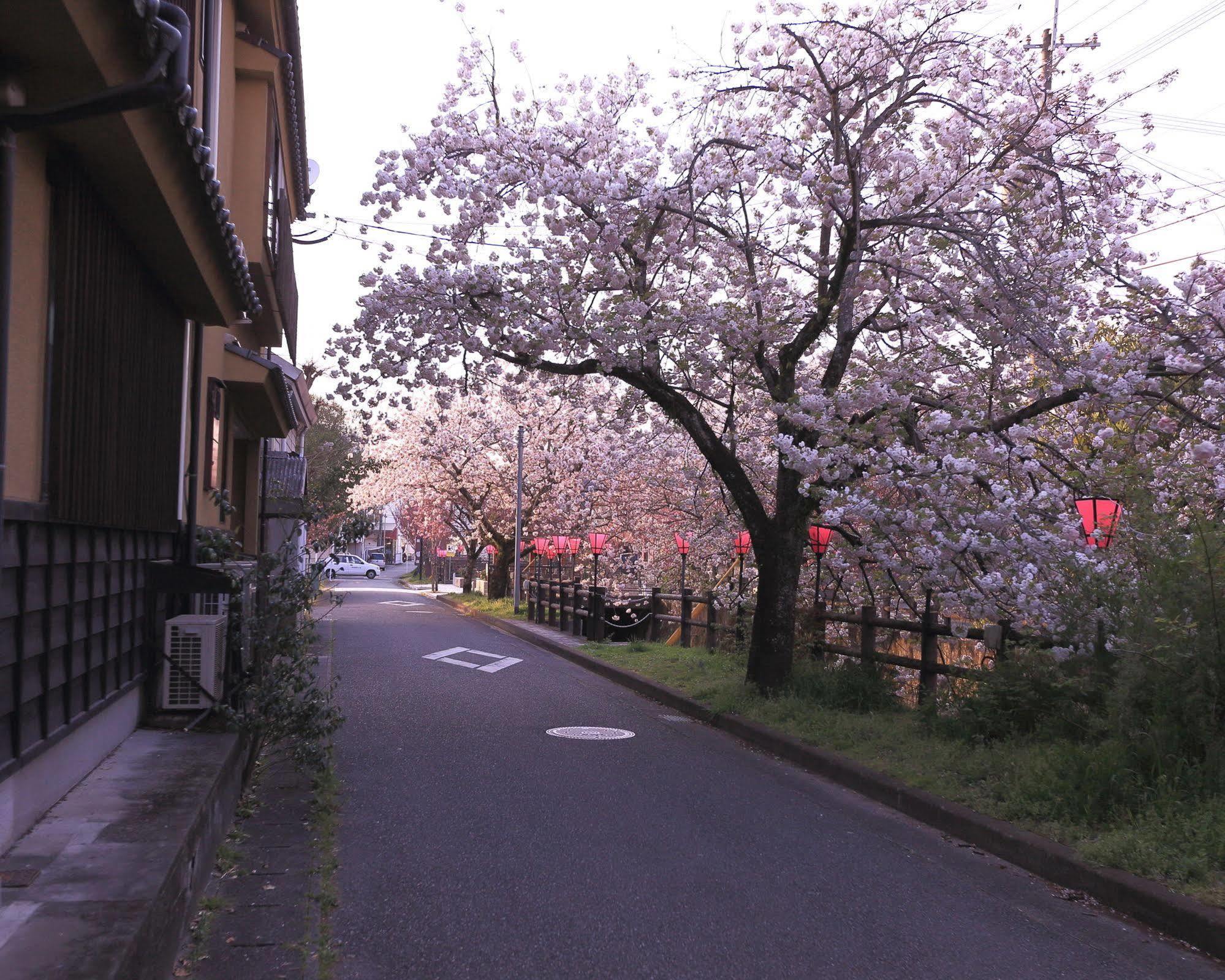 Tabi No Yado Satsuki Hotell Hita Eksteriør bilde
